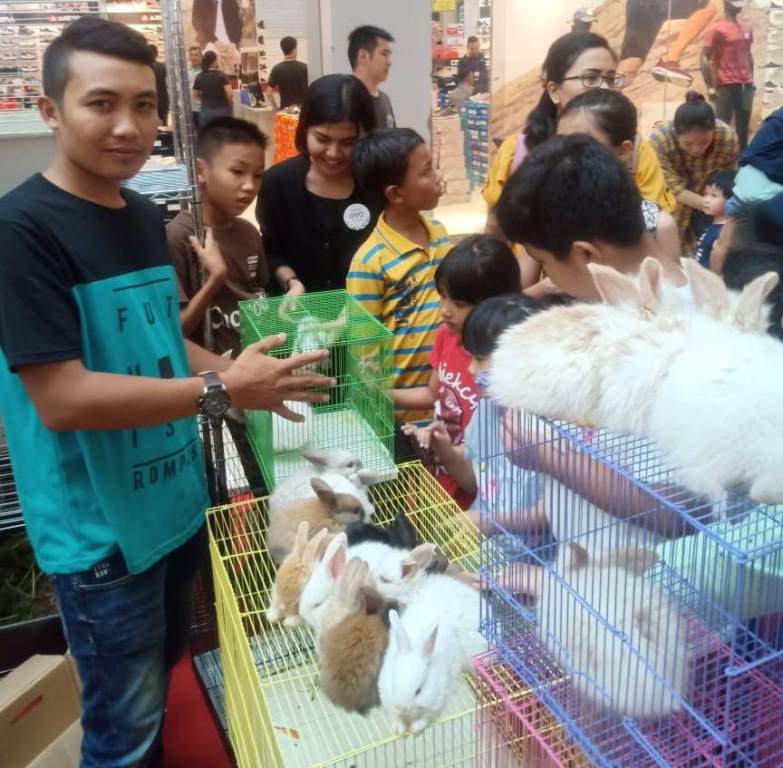 Bermodalkan Rp120 ribu, Arif Sukses Beternak Kelinci di Medan Tuntungan 